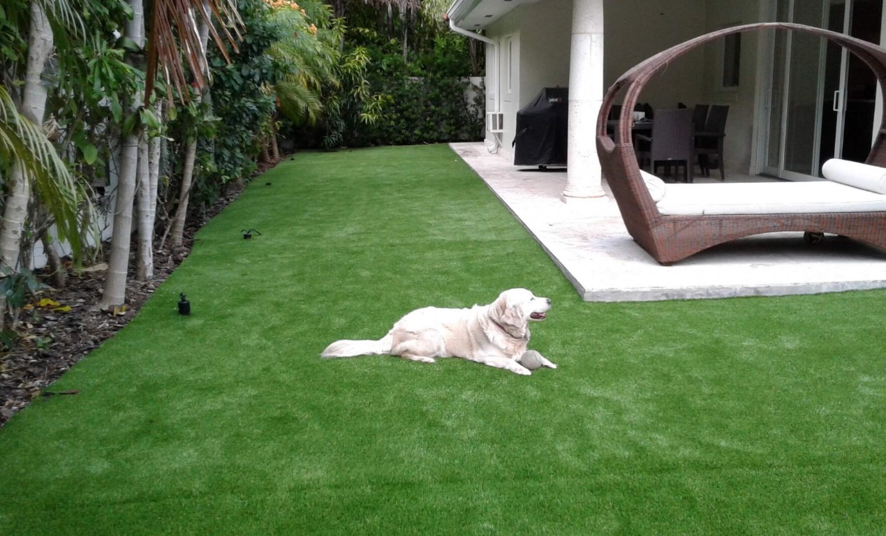 Pet-friendly artificial grass with advanced drainage for dogs in Hemet